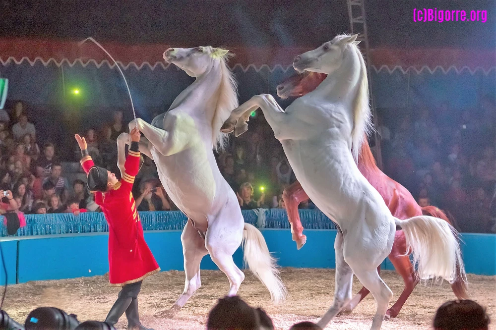 cirque de Saint-Pétersbourg   